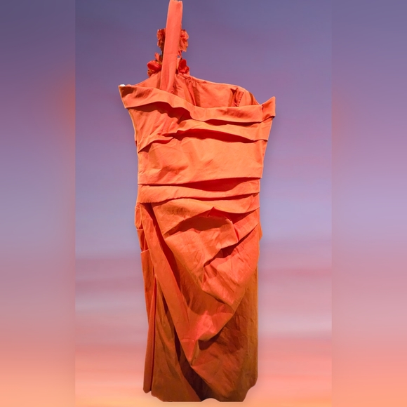 Lazaro lridescent Coral One Strap Ruched Evening Party Dress Sz 6 - Picture 3 of 8